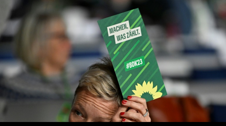 Gr&uuml;ne st&uuml;tzen Kurs der Regierung und stellen sich f&uuml;r Europawahl auf