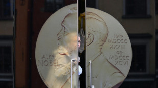 Literatur-Nobelpreis: Experten erwarten männlichen Preisträger aus dem Westen