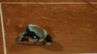 Monte-Carlo: Tsitsipas se sort du gu&ecirc;pier Schwartzman pour retrouver Zverev