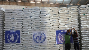 Dans le nord-ouest de la Syrie, la fermeture d'une voie majeure d'aide humanitaire inqui&egrave;te