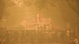 Feux en Indon&eacute;sie : des &eacute;tudiants r&eacute;clament dans le smog une action du gouvernement