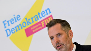 D&uuml;rr: F&uuml;r Regierungsbeteiligung der FDP muss Schuldenbremse bleiben