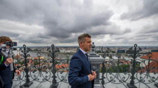 Peter Magyar en Pologne et en Autriche pour r&eacute;tablir les liens et voir plus loin