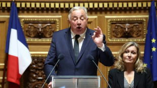 S&eacute;nat: G&eacute;rard Larcher en passe de rempiler au "plateau"