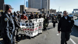 Manifestantes pro Gaza bloquean puentes y un t&uacute;nel de acceso a Nueva York