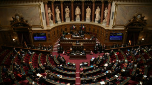 Le projet de loi sur l'industrie verte aux mains des s&eacute;nateurs