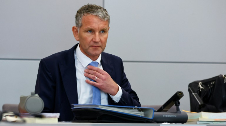 Aussage von Th&uuml;ringens AfD-Chef H&ouml;cke vor Landgericht Halle erwartet