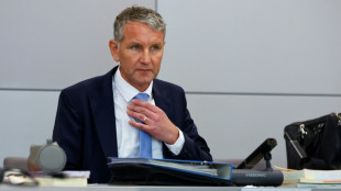 Aussage von Th&uuml;ringens AfD-Chef H&ouml;cke vor Landgericht Halle erwartet