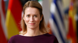 Estonia vota en elecciones con Ucrania de tel&oacute;n de fondo