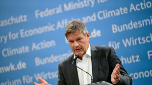 Opposition kritisiert Habecks Kanzlerkandidatur - Gr&uuml;ner verteidigt Schritt
