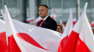 Poland vows to ensure EU defence funding after presidential veto
