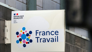Chez France Travail, des psychologues face &agrave; la t&acirc;che immense de panser les blessures de travail