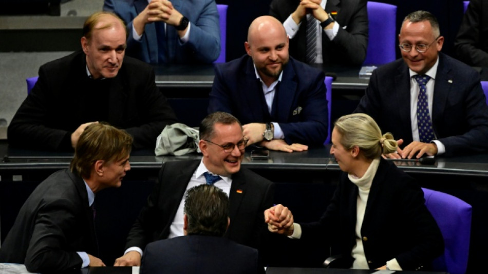 AfD-Abgeordnete reisen zu Gespr&auml;chen mit Trump-Partei in USA