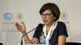 Monique Barbut, une ancienne pr&eacute;sidente de WWF &agrave; la Transition &eacute;cologique