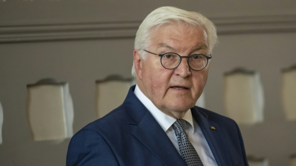Steinmeier trifft t&uuml;rkischen Pr&auml;sidenten Erdogan in Ankara