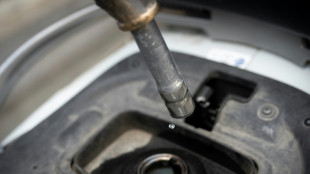 Countries act to limit fuel price rise, cut consumption