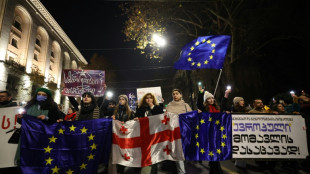 14. Tag in Folge: Tausende Menschen in Georgien bei pro-europ&auml;ischem Protest