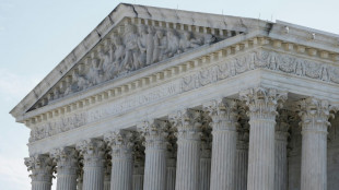 US Supreme Court to hear pivotal minority voting rights case