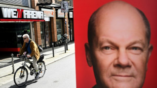Nach Angriffen auf Politiker: Scholz fordert Zusammenstehen f&uuml;r Demokratie