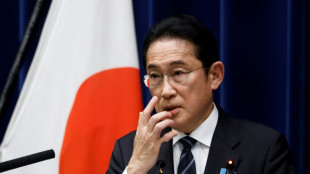 El gobierno japon&eacute;s anuncia un paquete de est&iacute;mulo de 113.000 millones de d&oacute;lares