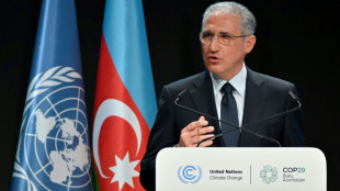 Schlussplenum der UN-Klimakonferenz unterbrochen - Offene Fragen zur&uuml;ckgestellt