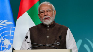 Indien und die T&uuml;rkei bieten Ausrichtung k&uuml;nftiger UN-Klimakonferenzen an