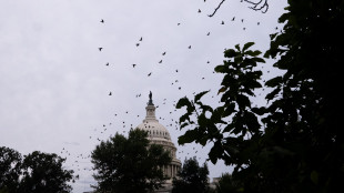 Gli Usa entrano ufficialmente in shutdown