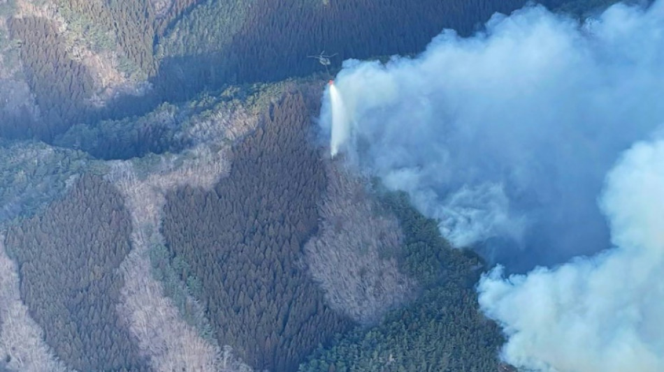 2000 Feuerwehrleute k&auml;mpfen gegen gr&ouml;&szlig;ten Waldbrand in Japan seit &uuml;ber 30 Jahren
