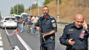 Un Palestinien tue un soldat isra&eacute;lien dans une attaque avant d'&ecirc;tre abattu
