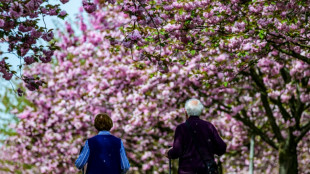 Kabinett beschlie&szlig;t Anstieg der Renten um 4,24 Prozent zum 1. Juli