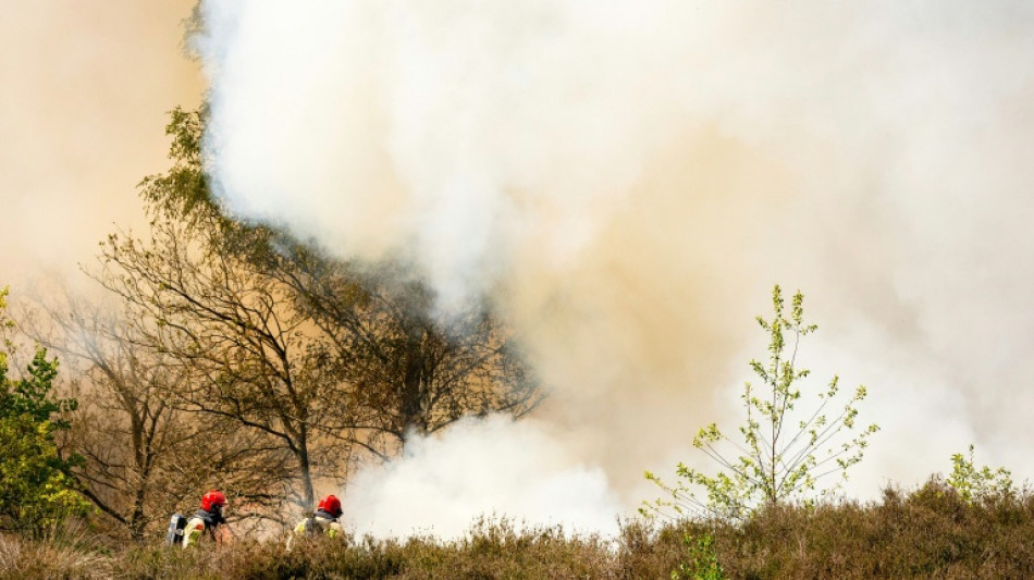 Au moins cinq incendies de for&ecirc;t font rage &agrave; travers les Pays-Bas
