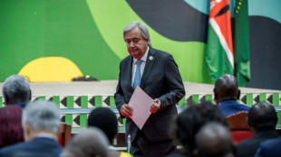 Au Sommet africain sur le climat, de premiers milliards de dollars pour les &eacute;nergies vertes