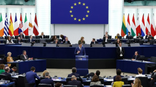 S&aacute;nchez dice que su gobierno es un aliado de la UE, pero enfrenta cr&iacute;ticas en el Parlamento Europeo