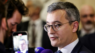 Diputados y senadores franceses alcanzan un acuerdo para un proyecto de ley de inmigraci&oacute;n, pendiente de voto