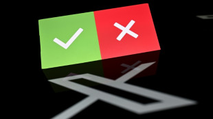 El sistema de verificaci&oacute;n de X fall&oacute; en identificar informaci&oacute;n electoral falsa en EEUU, seg&uacute;n un estudio