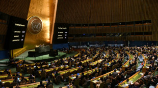 UN-Vollversammlung nimmt Resolution zu "humanit&auml;rer Waffenruhe" im Gazastreifen an