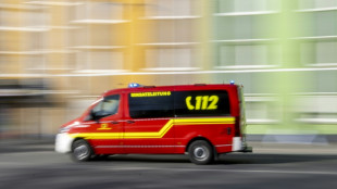 In Auto in Baden-W&uuml;rttemberg gefundenes totes Kind starb an Hitzschlag