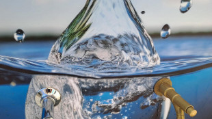 De Molli (Teha), 'senza acqua salta il 20% del Pil italiano'