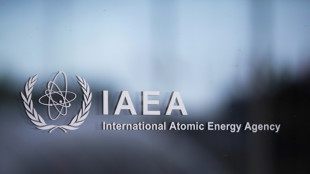 UE pide a Ir&aacute;n que reconsidere veto de inspectores nucleares de OIEA