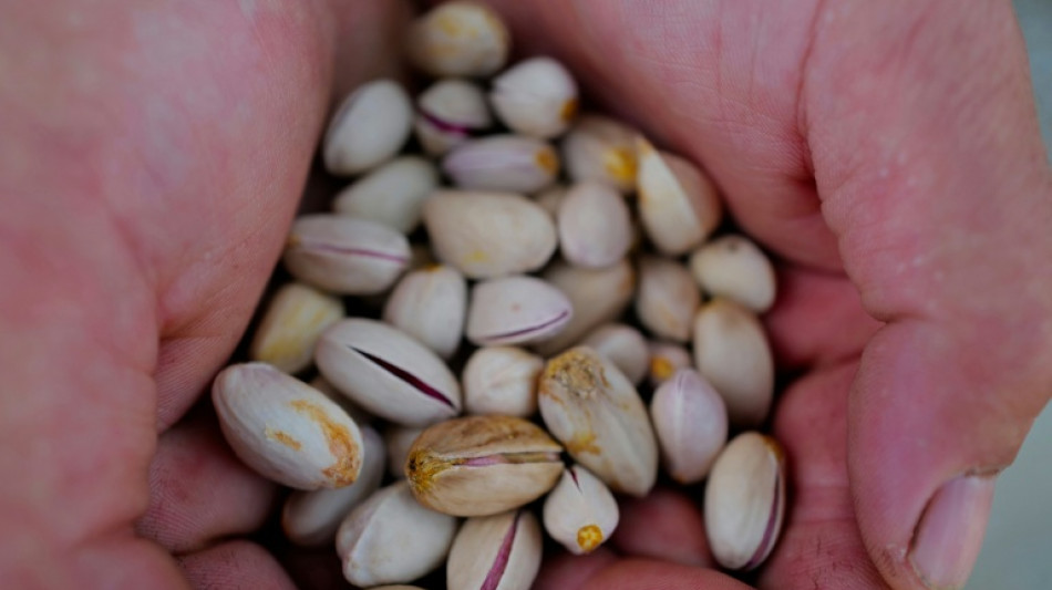 Lentilles, pistaches: des vignerons du Sud se tournent vers des cultures "d'avenir"