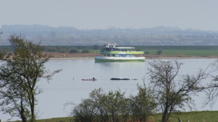 Rettungsversuch f&uuml;r hilflosen Buckelwal in Ostsee auf Freitag verschoben