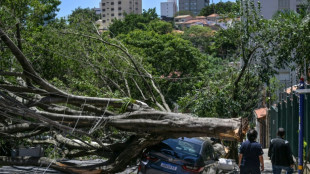 Un temporal provoca un apag&oacute;n masivo y caos a&eacute;reo en Sao Paulo