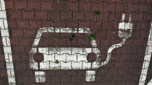 EU 2035 combustion-engine ban review: what's at stake