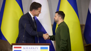 Niederlande sagen Ukraine eine Milliarde an zus&auml;tzlicher Milit&auml;rhilfe zu