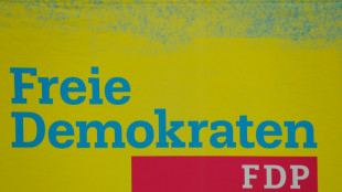 Ex-Staatsminister Sch&auml;fer verl&auml;sst FDP - Kritik an Parteispitze
