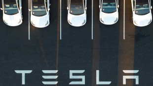 B&uuml;rgermeister von Gr&uuml;nheide bedauert Ausgang von B&uuml;rgerbefragung zu Tesla-Ausbau