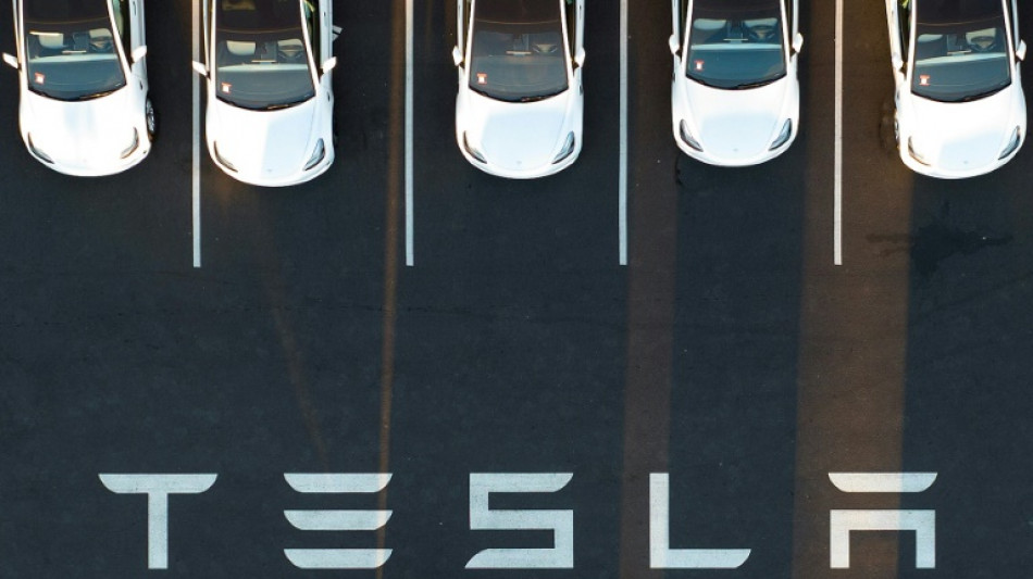 Protest gegen Tesla-Ausbau: Aktivisten besetzen Waldst&uuml;ck in Gr&uuml;nheide