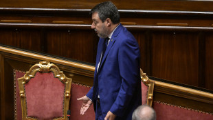 Salvini, riforma Rai proposta da FI non mi sembra priorità