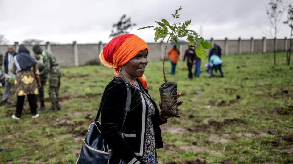 Kenya: un jour f&eacute;ri&eacute; pour planter des arbres