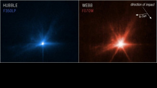 La Nasa a r&eacute;ussi &agrave; d&eacute;vier un ast&eacute;ro&iuml;de de sa trajectoire dans un test de d&eacute;fense de la Terre